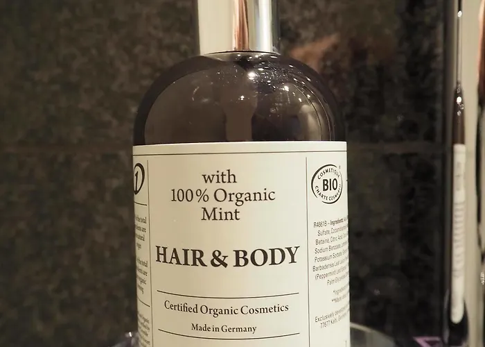 One Salzburg-sued Salzburg